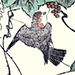 Kiyoshi Takizawa Gallery